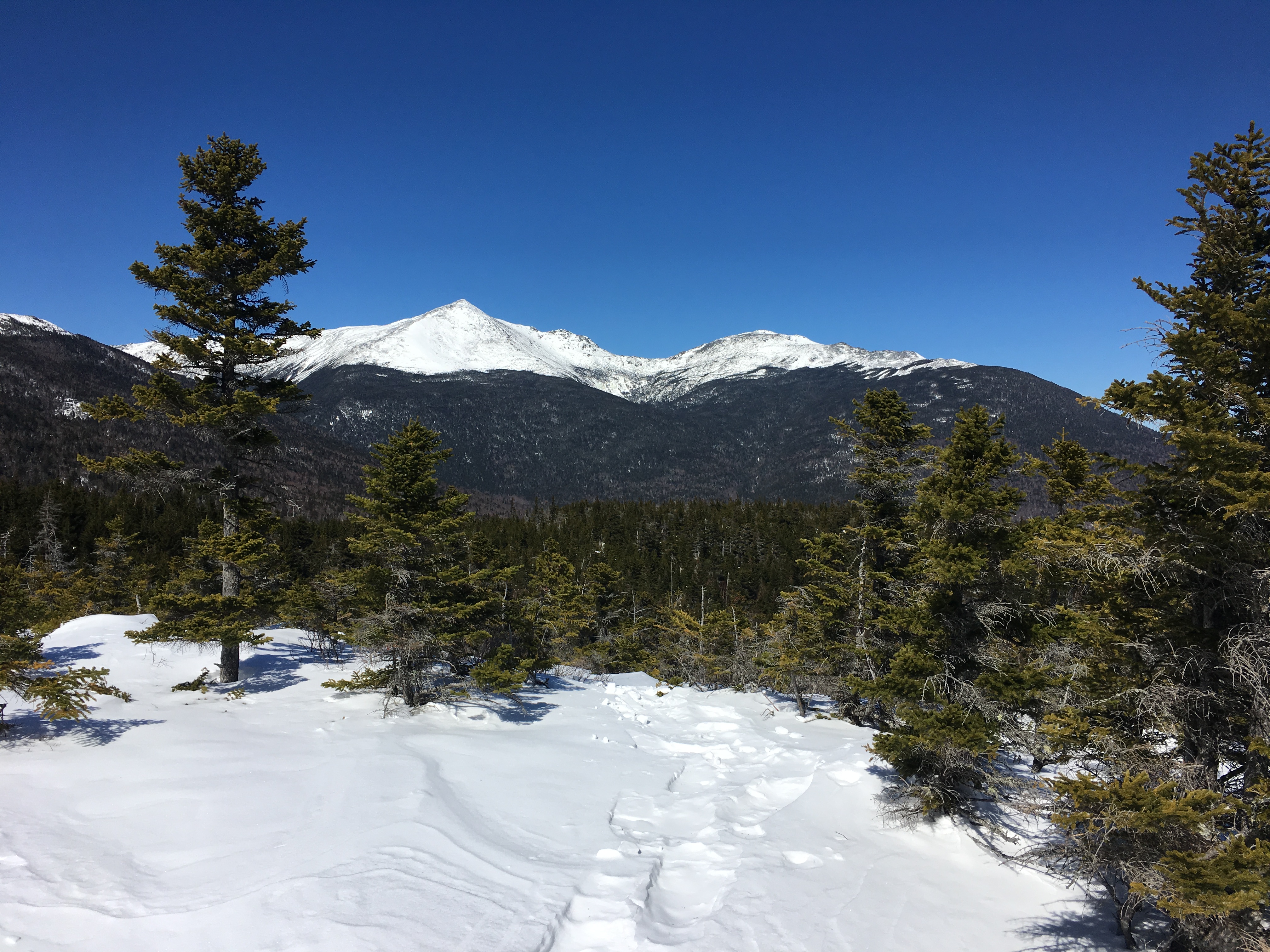 DDC91037-DCF2-412B-84CA-3C5F71D84F35