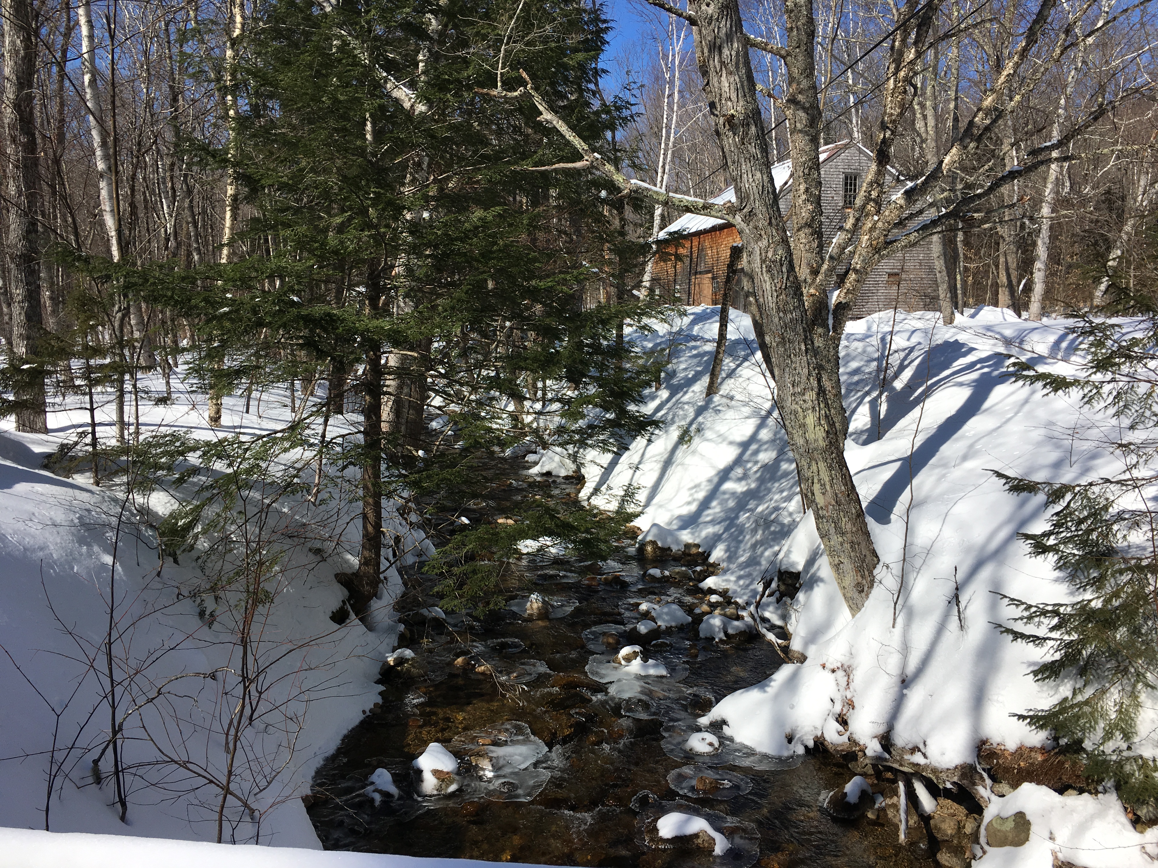 F8946DA5-7267-4242-B4F4-AB340BA84CDB