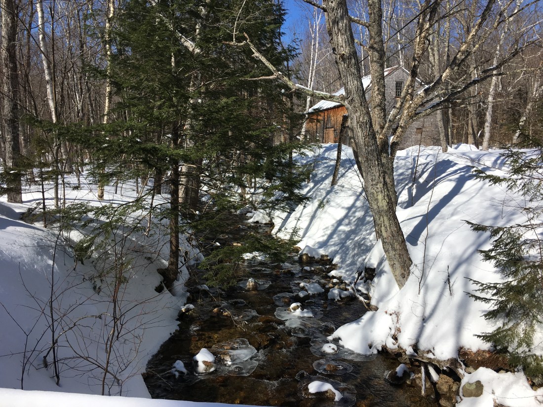 F8946DA5-7267-4242-B4F4-AB340BA84CDB